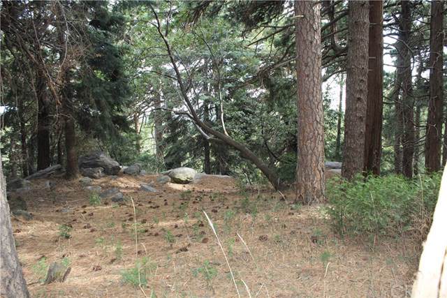 0 Lakeland View - Photo 1