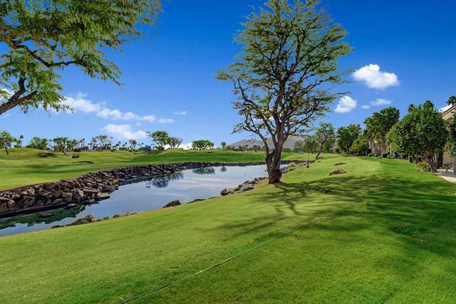54528 Oak-Tree - Photo 1