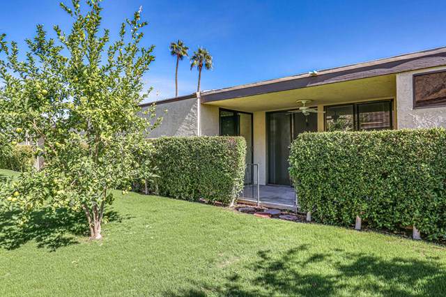 2191 Calle Palo Fierro - Photo 1