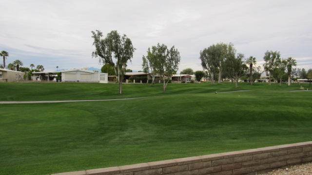 38501 Fawn Springs Drive - Photo 1