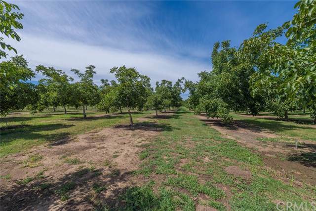 7480 Cana - Photo 1