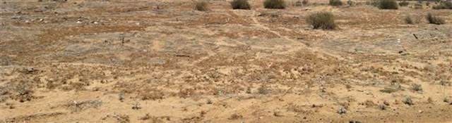 0 El Dorado Road - Photo 1