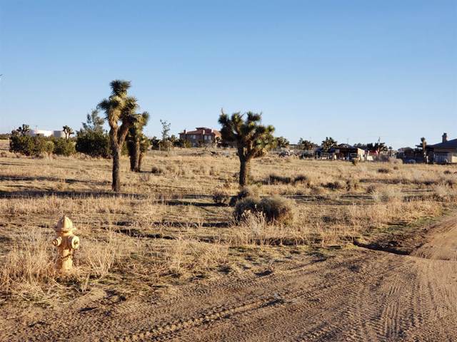 0 Tumbleweed Road - Photo 1 0 Tumbleweed Road - Photo 1