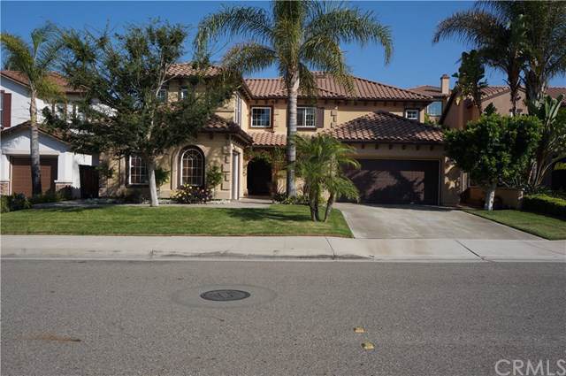7059 Magdalena Drive - Photo 1