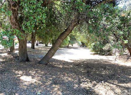 0 Vac/Cor Calle Cerritos/El Capt - Photo 1