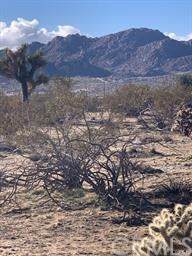 0 Apn 0605-033-04 - Photo 1