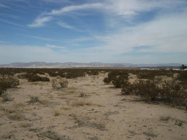 1495 Mile Square Road - Photo 1