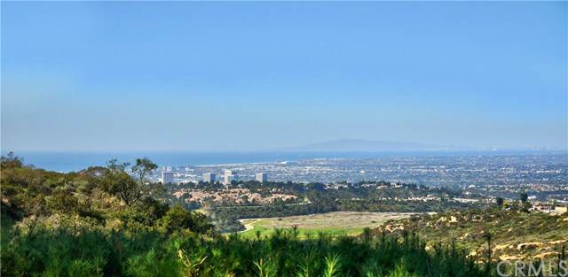 39 Mandria - Photo 1