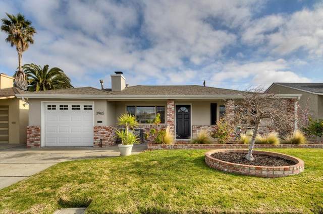 3965 Branson Drive - Photo 1