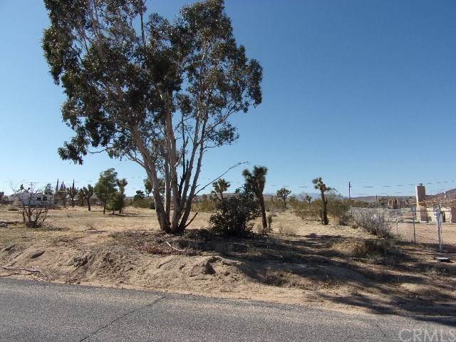 0 Ruidosa Ave - Photo 1