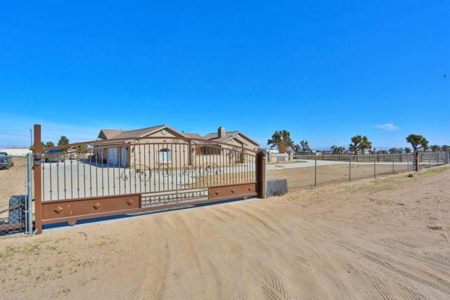 10348 Mesa Street - Photo 1