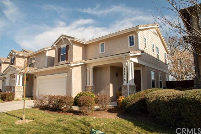 11616 Cardelina Lane - Photo 1