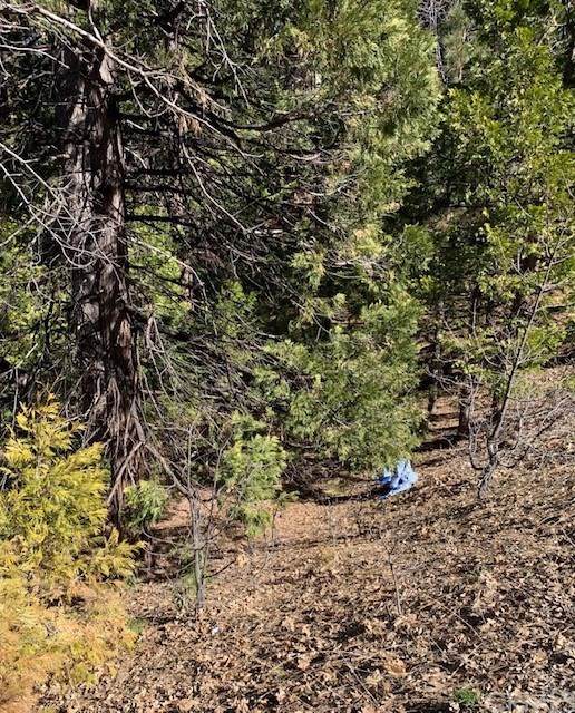 180 Grass Valley - Photo 1