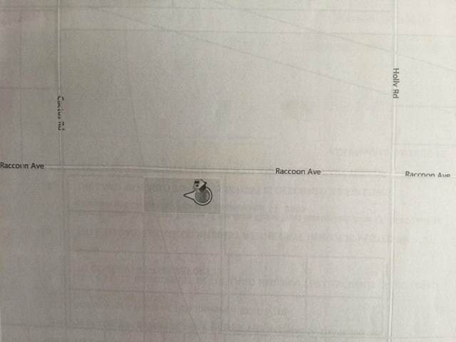 0 Racoon Avenue - Photo 1