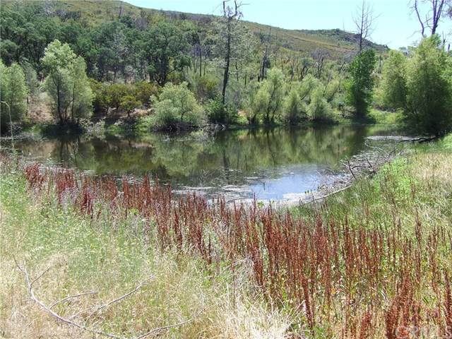 23523 Morgan Valley Road - Photo 1
