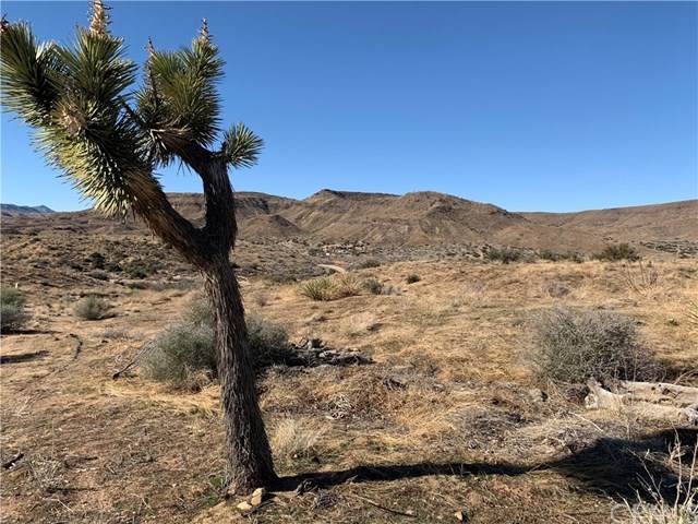 0 Pioneertown Road - Photo 1