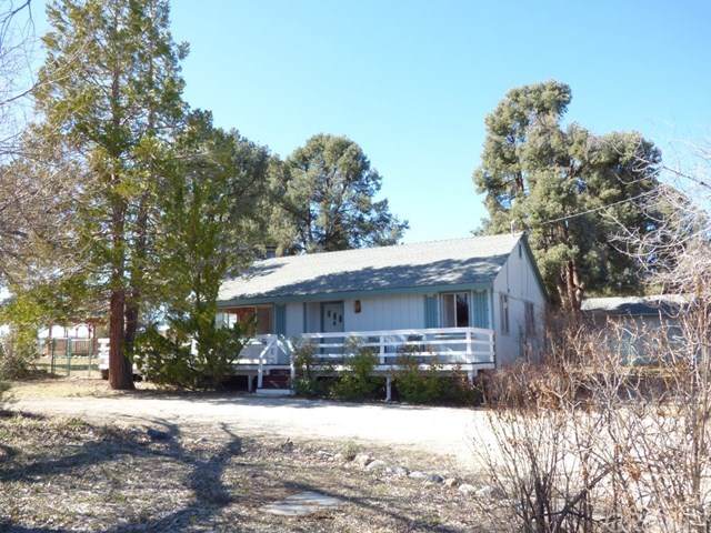 1013 Snowbird Drive - Photo 1