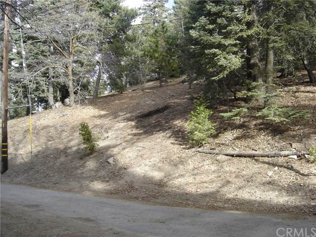 0 Pine Trail - Photo 1