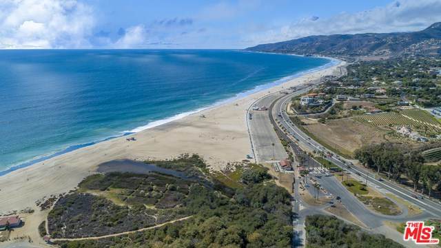 29700 Zuma Bay Way - Photo 1