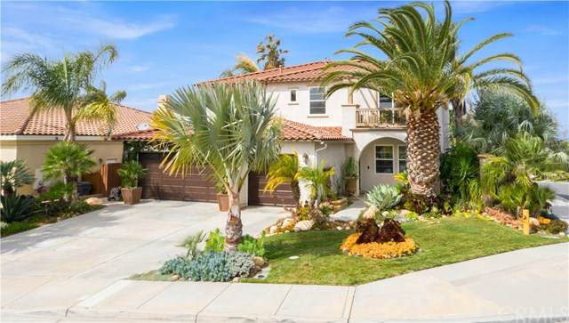 33806 Star Hill Street - Photo 1