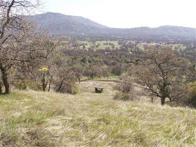63 Aunt Julia Lane - Photo 1