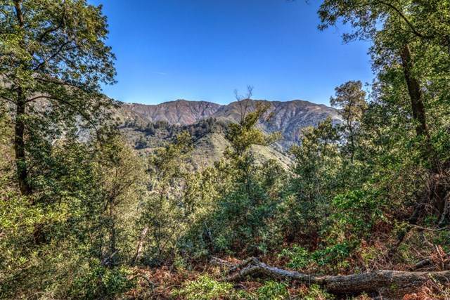 46151 Clear Ridge Rd - Photo 1