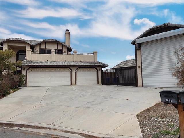 11665 Winterhawk Way - Photo 1