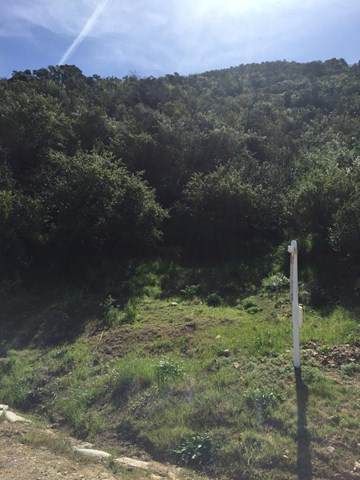 Ventu Park Road - Photo 1