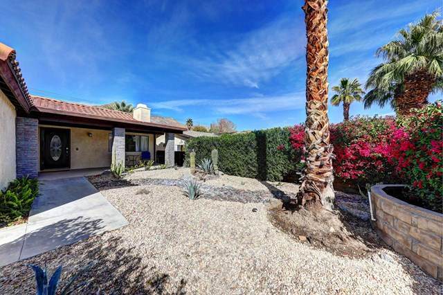 53815 Avenida Alvarado - Photo 1
