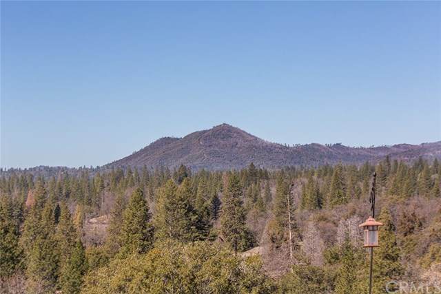 2370 Conifer Lane - Photo 1