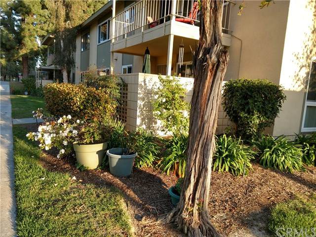 211 Avenida Majorca - Photo 1