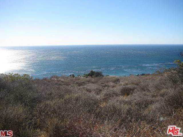 32838 Camino De Buena Ventura - Photo 1
