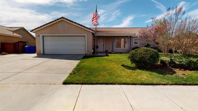 12701 Adolfo Lane - Photo 1