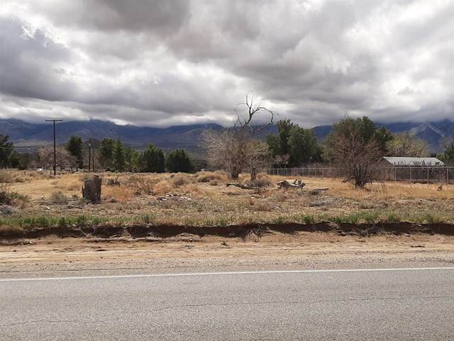 31985 State Hwy 118 Highway - Photo 1