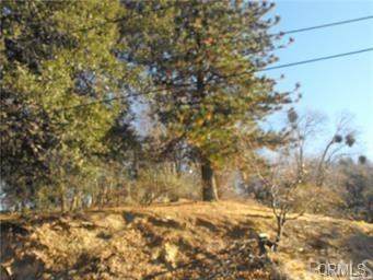 0 Edelweiss Drive - Photo 1