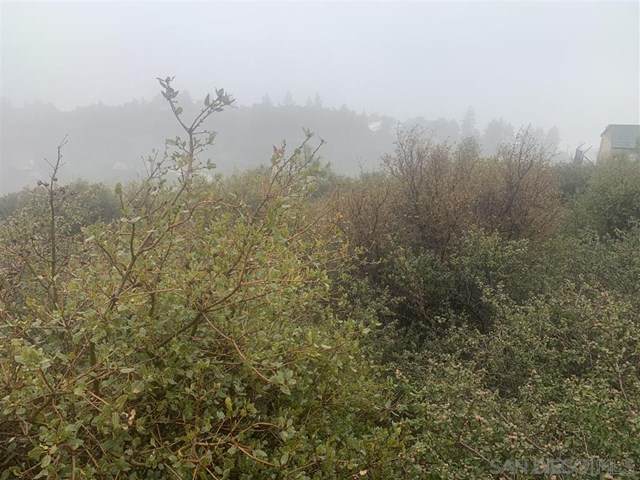 0 Mountain View Drive - Photo 1