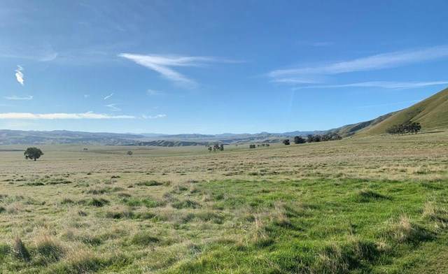 0 Little Panoche Road - Photo 1