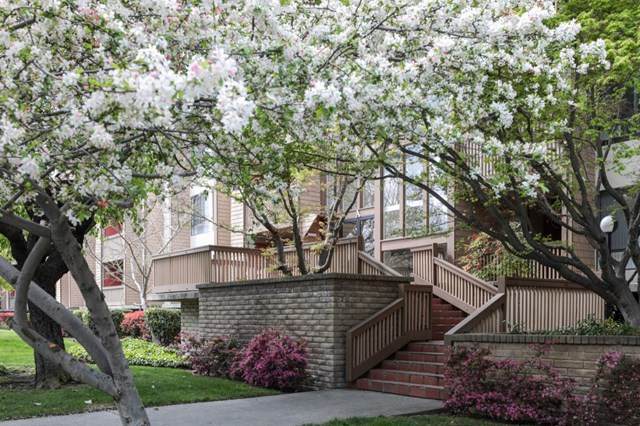 49 Showers Drive - Photo 1