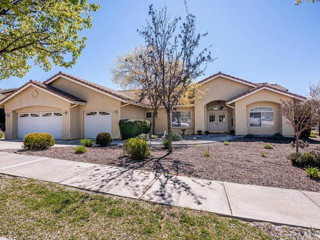 1902 Terrabella Court - Photo 1