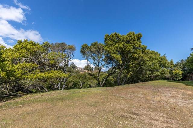 35 Victor Park Lane - Photo 1