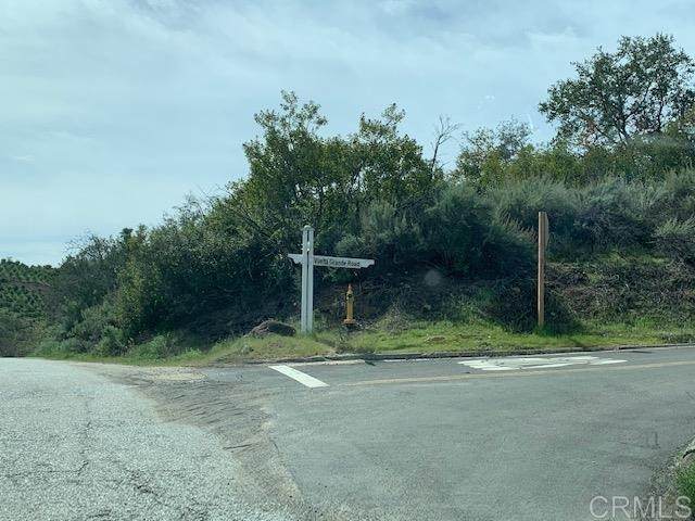 Vuelta Grande Rd - Photo 1