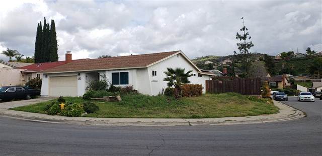 13523 Avenida Del Charro - Photo 1