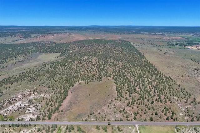0 Hwy 299E - Photo 1