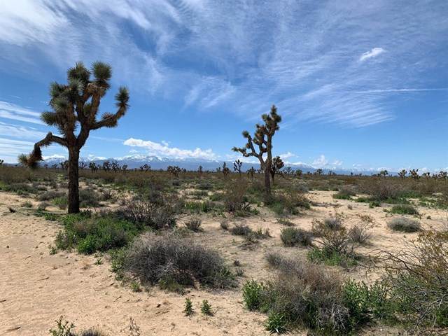 0 Sand Avenue - Photo 1