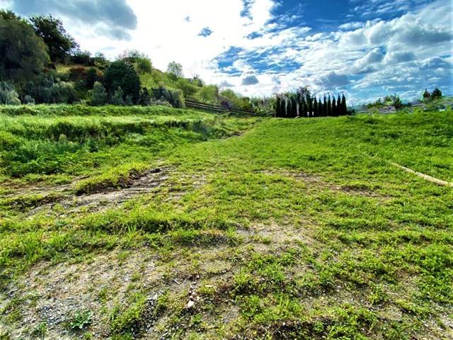 14830 Corralitos Lane - Photo 1