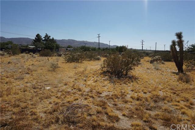 6101 Scenic Drive - Photo 1