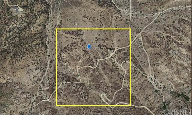 0 Vac/Vic Dusty Trl/Mt Emma Road - Photo 1