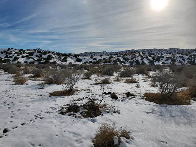 2945 Tumbleweed Trail - Photo 1