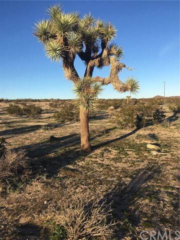 0 Sunny Sands - Photo 1