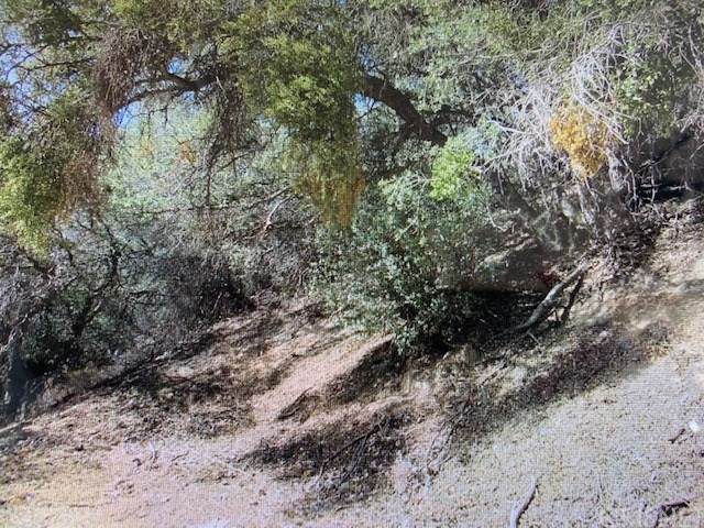 0 Buena Vista - Photo 1